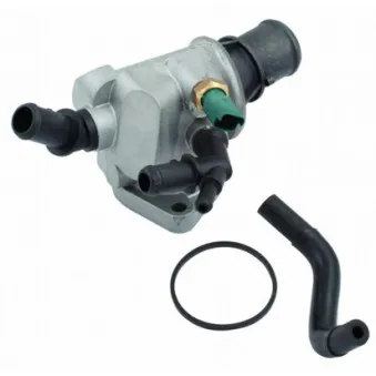Thermostat, liquide de refroidissement HOFFER 8192608