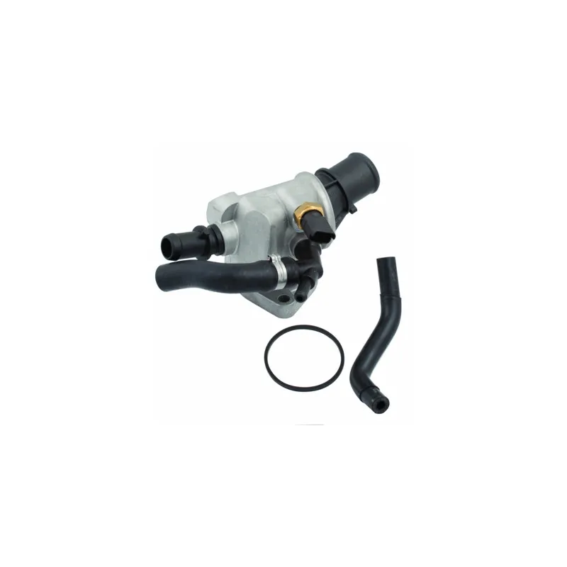 Thermostat, liquide de refroidissement HOFFER 8192612