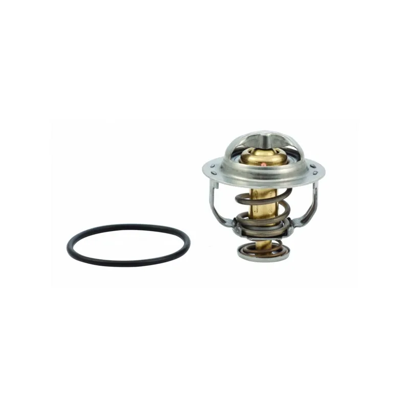 Thermostat, liquide de refroidissement HOFFER 8192615