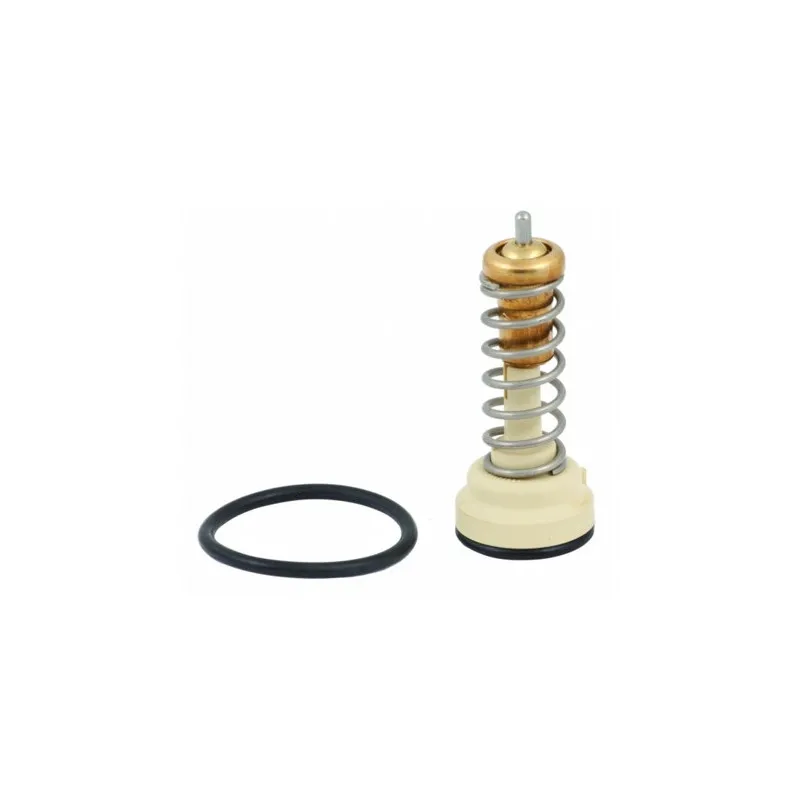 Thermostat, liquide de refroidissement HOFFER 8192620