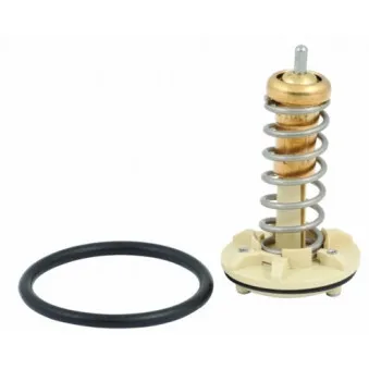 Thermostat, liquide de refroidissement HOFFER