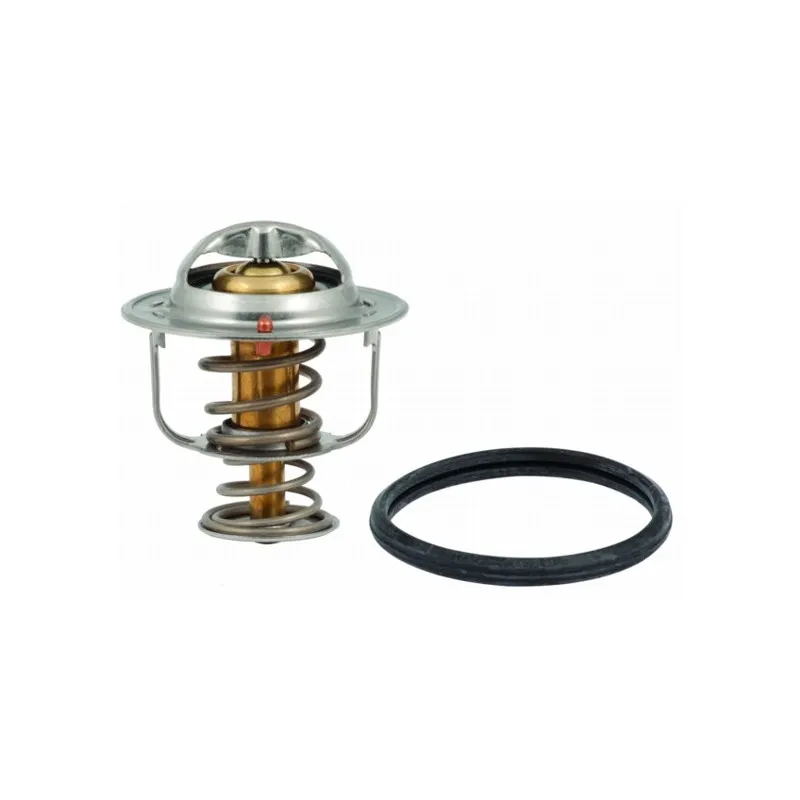 Thermostat, liquide de refroidissement HOFFER 8192624