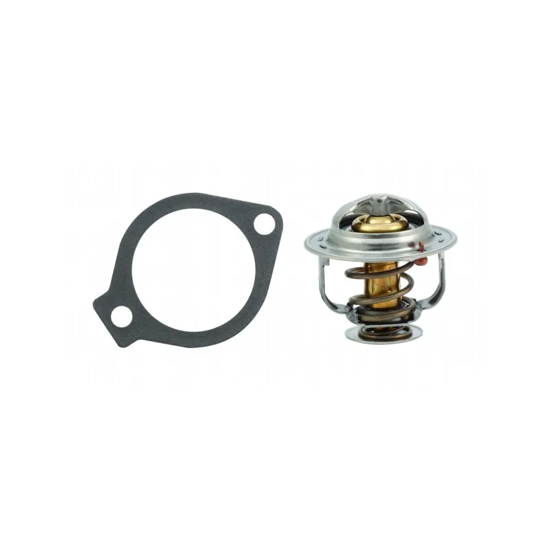 Thermostat, liquide de refroidissement HOFFER 8192629