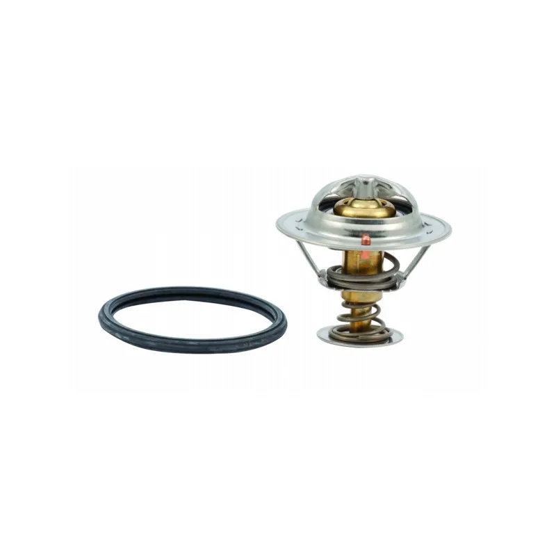 Thermostat, liquide de refroidissement HOFFER 8192636