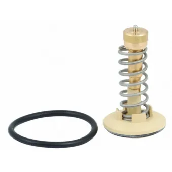 Thermostat, liquide de refroidissement HOFFER