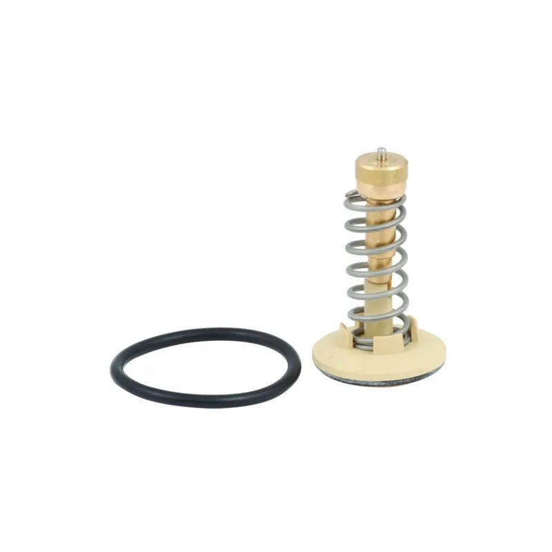 Thermostat, liquide de refroidissement HOFFER 8192646