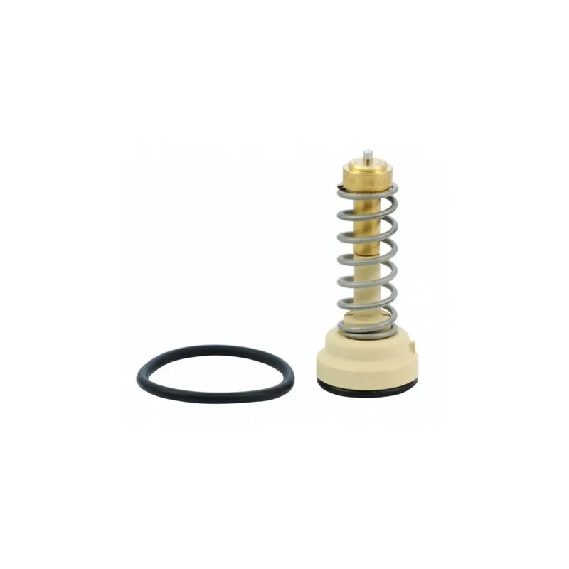 Thermostat, liquide de refroidissement HOFFER 8192648