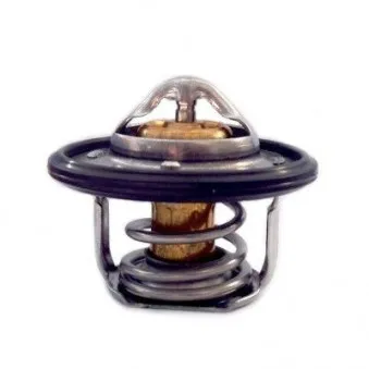 Thermostat, liquide de refroidissement HOFFER