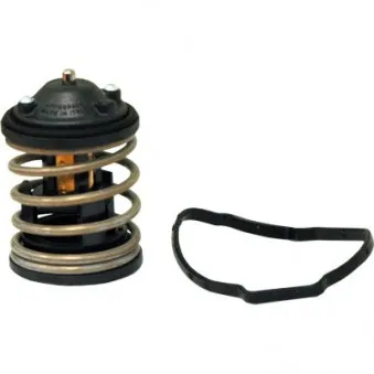 Thermostat, liquide de refroidissement HOFFER 8192686