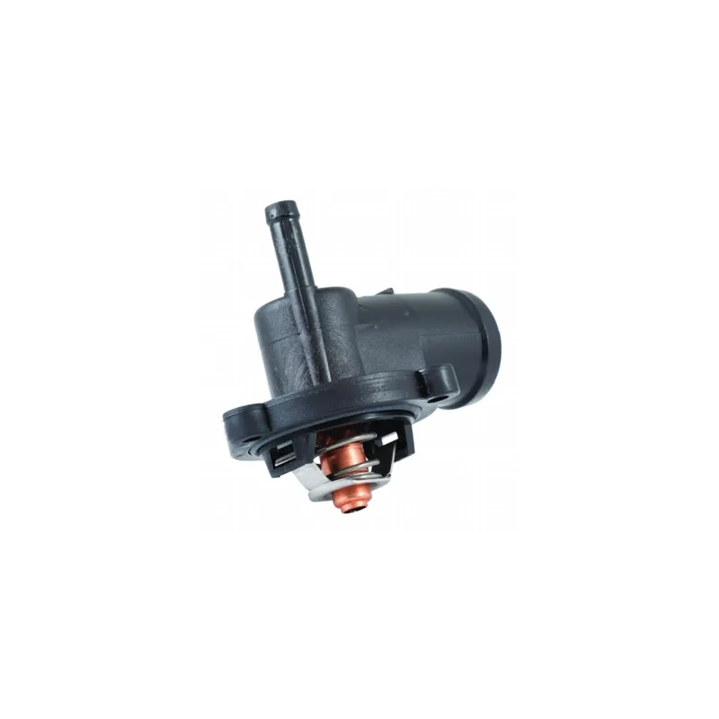 Thermostat, liquide de refroidissement HOFFER 8192715