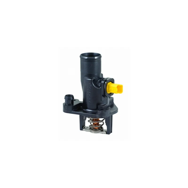 Thermostat, liquide de refroidissement HOFFER 8192717