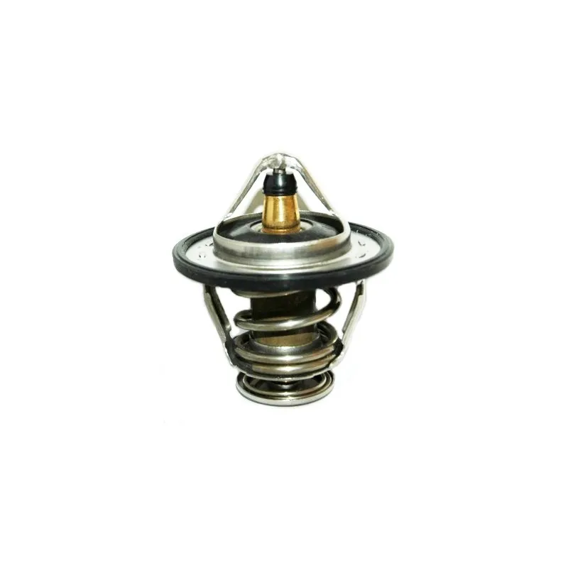 Thermostat, liquide de refroidissement HOFFER 8192733