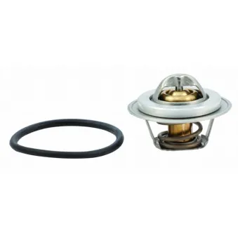 Thermostat, liquide de refroidissement HOFFER