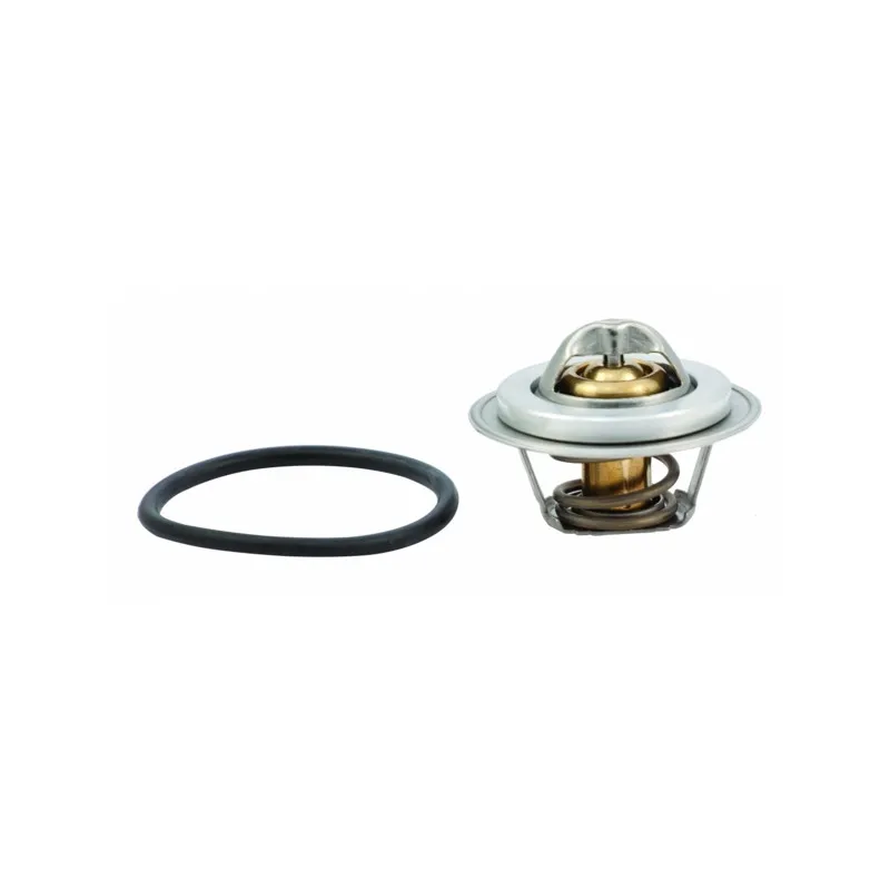 Thermostat, liquide de refroidissement HOFFER 8192737