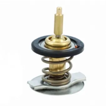 Thermostat, liquide de refroidissement HOFFER 8192739