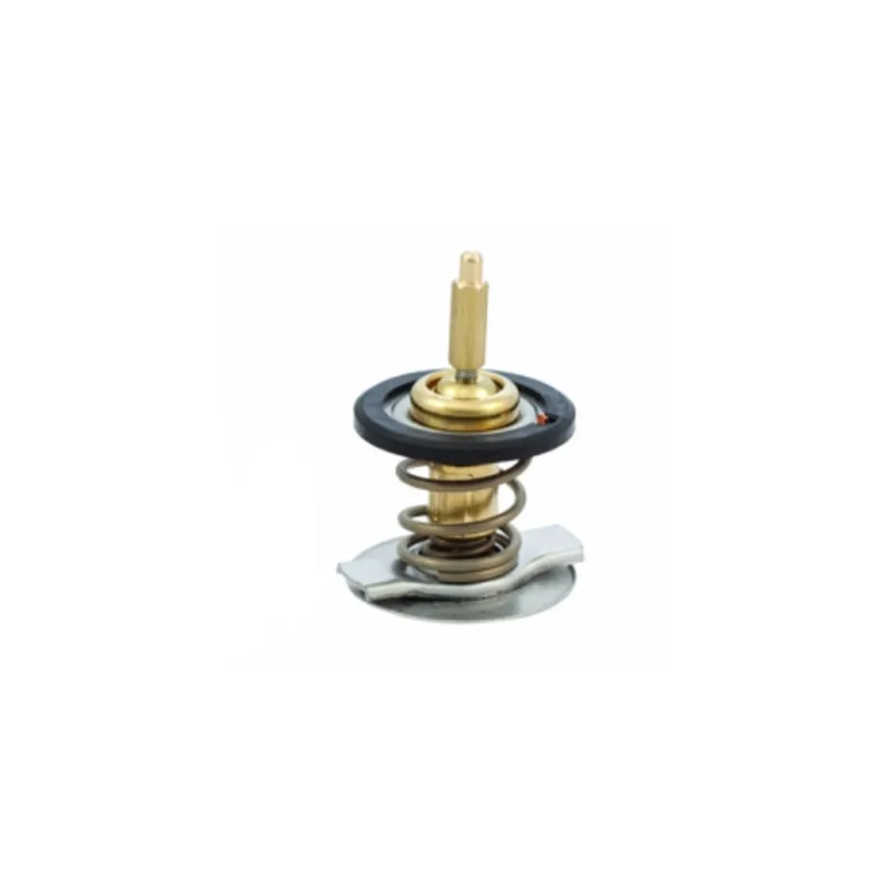 Thermostat, liquide de refroidissement HOFFER 8192739