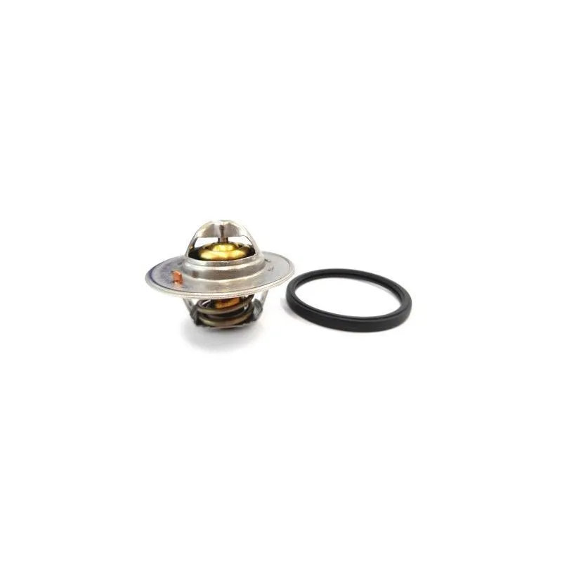Thermostat, liquide de refroidissement HOFFER 8192750