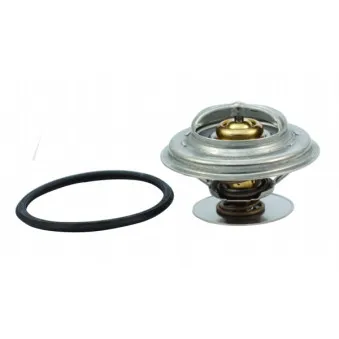 Thermostat, liquide de refroidissement HOFFER