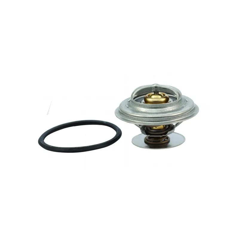 Thermostat, liquide de refroidissement HOFFER 8192753