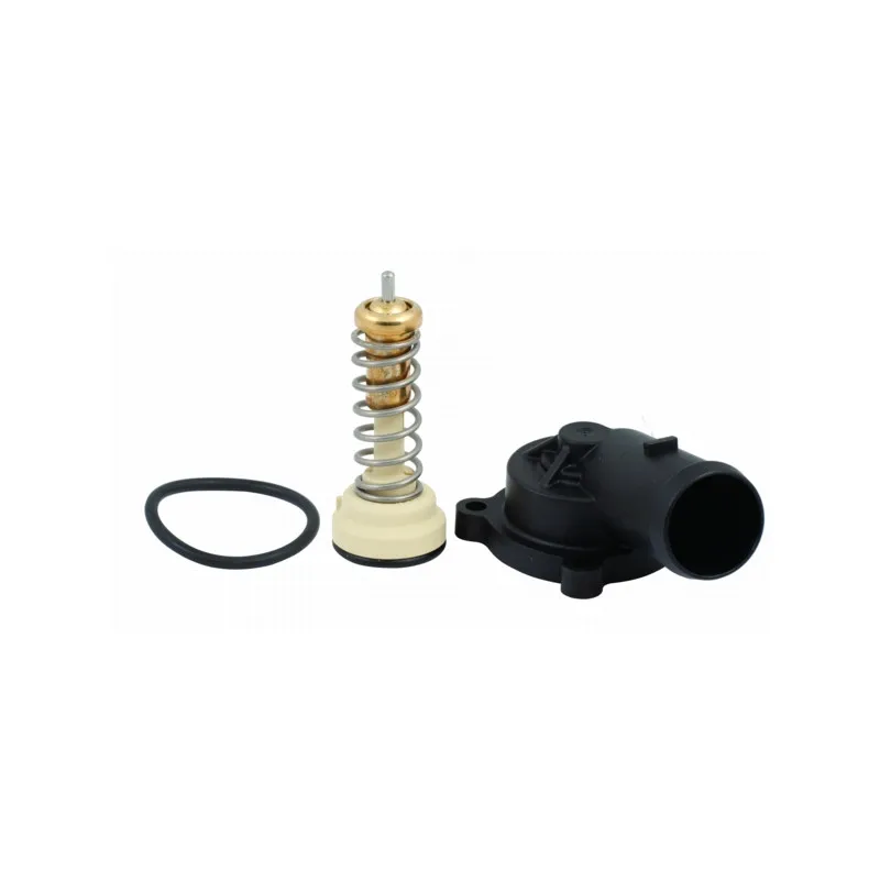 Thermostat, liquide de refroidissement HOFFER 8192756K