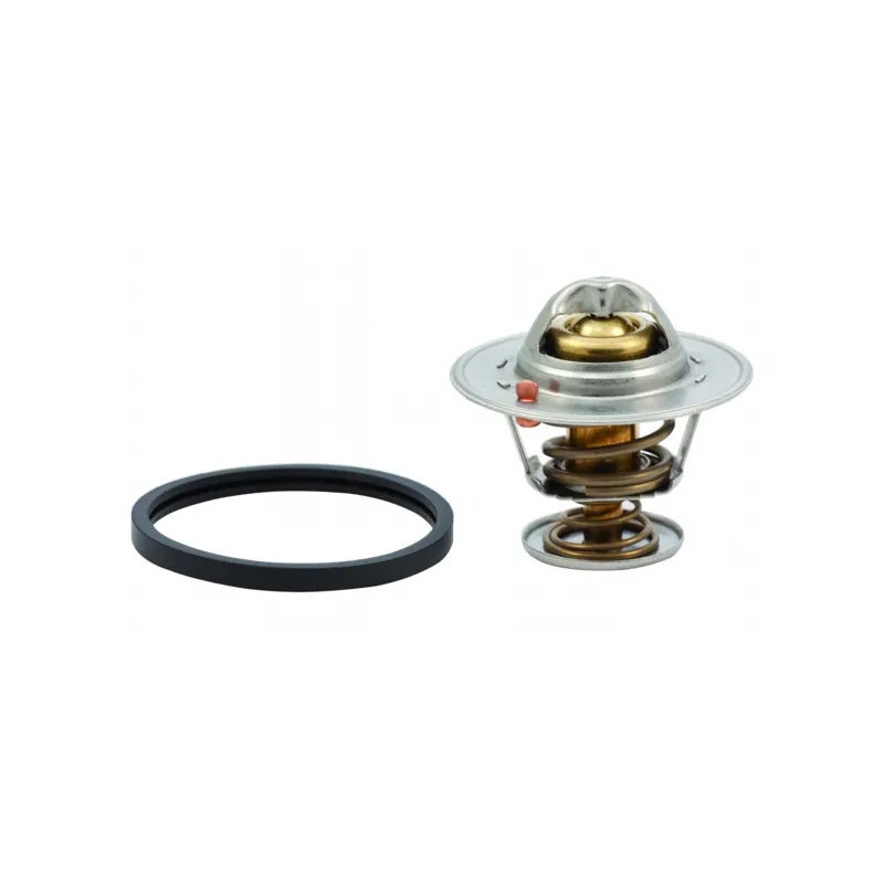 Thermostat, liquide de refroidissement HOFFER 8192757