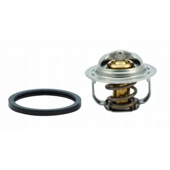Thermostat, liquide de refroidissement HOFFER