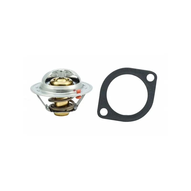 Thermostat, liquide de refroidissement HOFFER 8192761