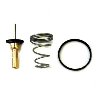 Thermostat, liquide de refroidissement HOFFER