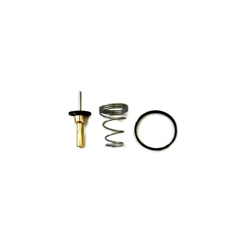 Thermostat, liquide de refroidissement HOFFER 8192780
