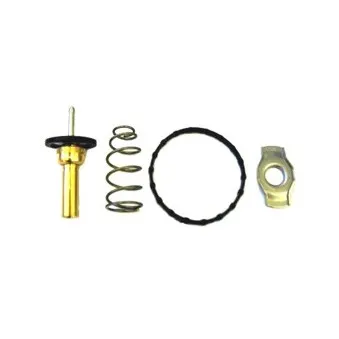 Thermostat, liquide de refroidissement HOFFER