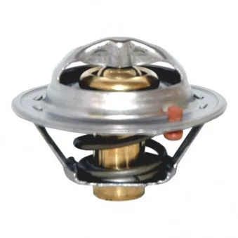 Thermostat, liquide de refroidissement HOFFER