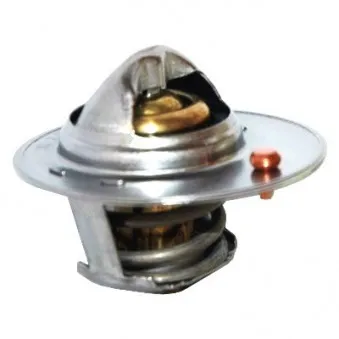 Thermostat, liquide de refroidissement HOFFER 8192791