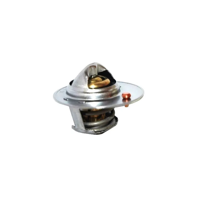 Thermostat, liquide de refroidissement HOFFER 8192791