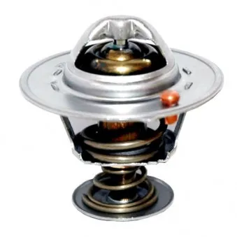 Thermostat, liquide de refroidissement HOFFER