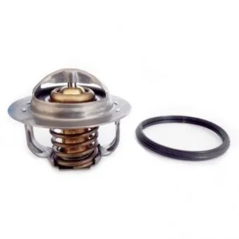Thermostat, liquide de refroidissement HOFFER