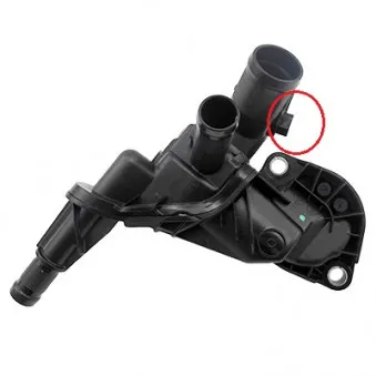 Thermostat, liquide de refroidissement HOFFER