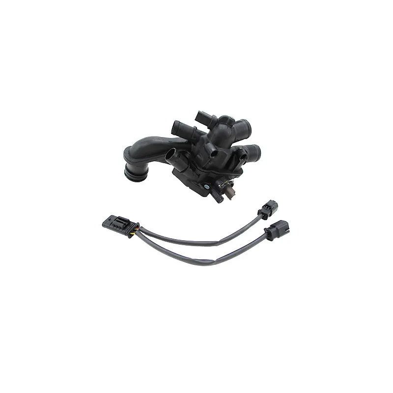 Thermostat, liquide de refroidissement HOFFER 8192859