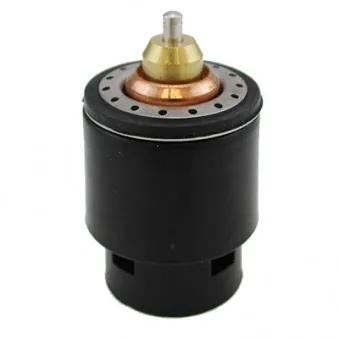 Thermostat, liquide de refroidissement HOFFER