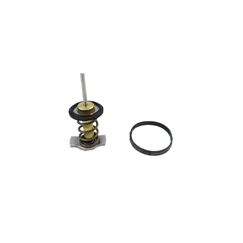 Thermostat, liquide de refroidissement HOFFER 8192940