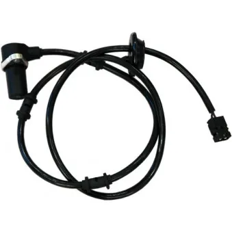 Capteur, vitesse de roue arrière droit HOFFER