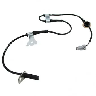 Capteur, vitesse de roue avant gauche HOFFER