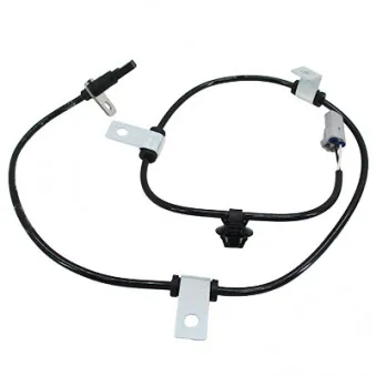 Capteur, vitesse de roue arrière gauche HOFFER