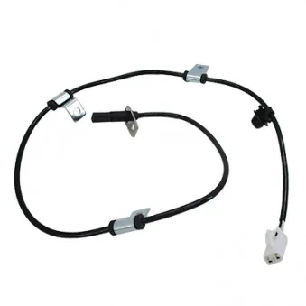 Capteur, vitesse de roue arrière droit HOFFER