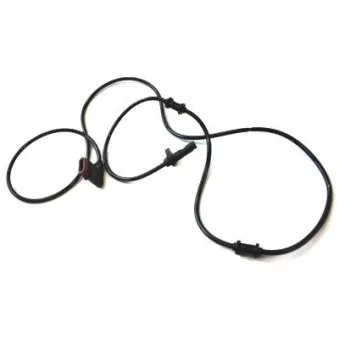 Capteur, vitesse de roue HOFFER