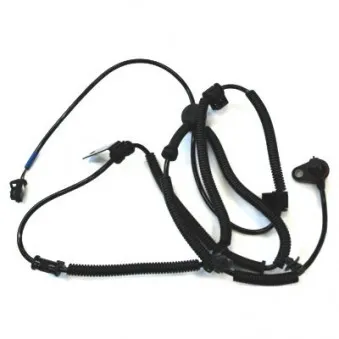 Capteur, vitesse de roue arrière droit HOFFER