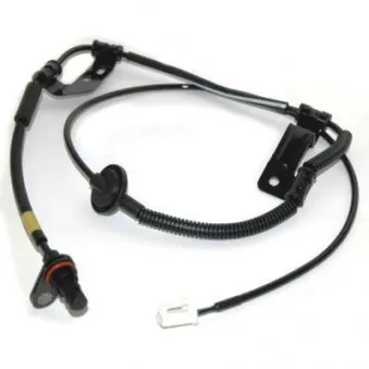 Capteur, vitesse de roue arrière droit HOFFER