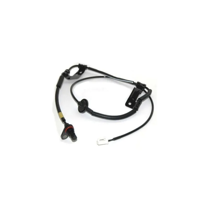 Capteur, vitesse de roue arrière droit HOFFER 8290381