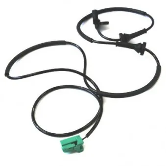 Capteur, vitesse de roue arrière droit HOFFER