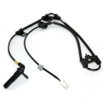 Capteur, vitesse de roue arrière droit HOFFER