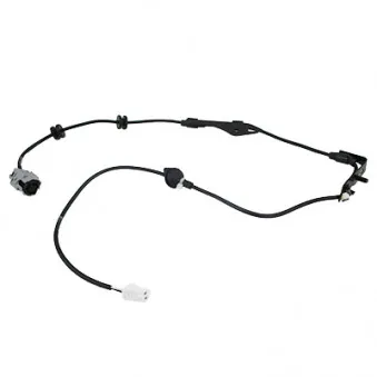 Capteur, vitesse de roue HOFFER 8290793